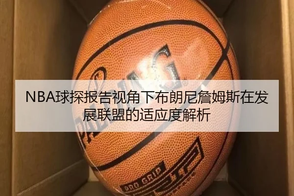 NBA球探报告视角下布朗尼詹姆斯在发展联盟的适应度解析