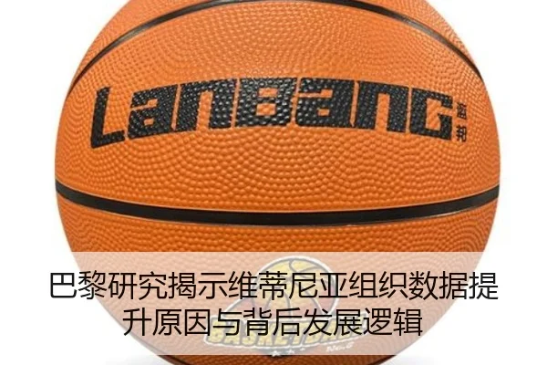 img_1781303763397_4156_1_990.jpg