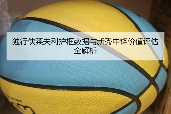 独行侠莱夫利护框数据与新秀中锋价值评估全解析